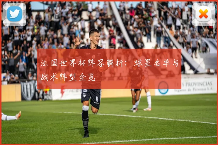 法国世界杯阵容解析：球星名单与战术阵型全览