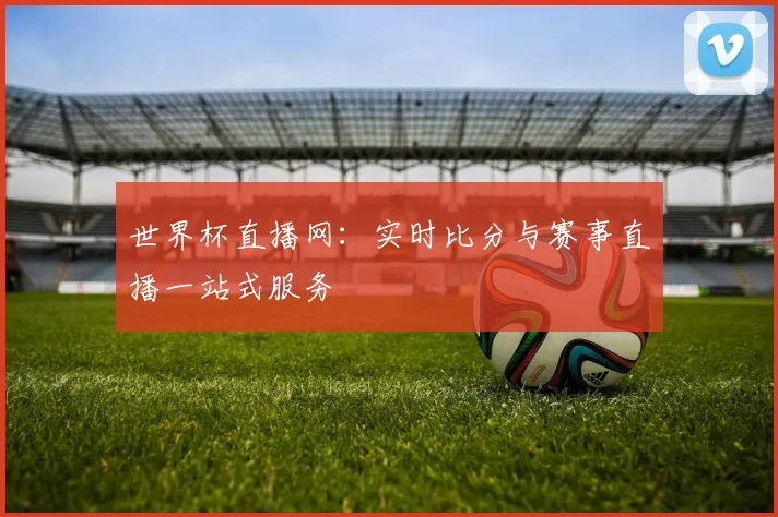 世界杯直播网：实时比分与赛事直播一站式服务