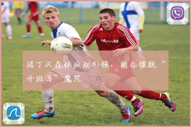 诺丁汉森林疯狂补强，能否摆脱“升班马”魔咒