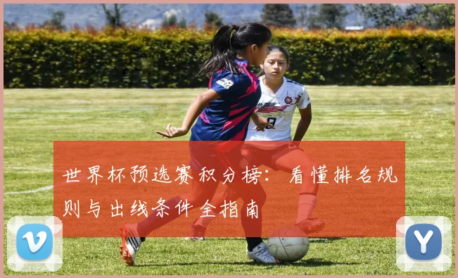 世界杯预选赛积分榜：看懂排名规则与出线条件全指南