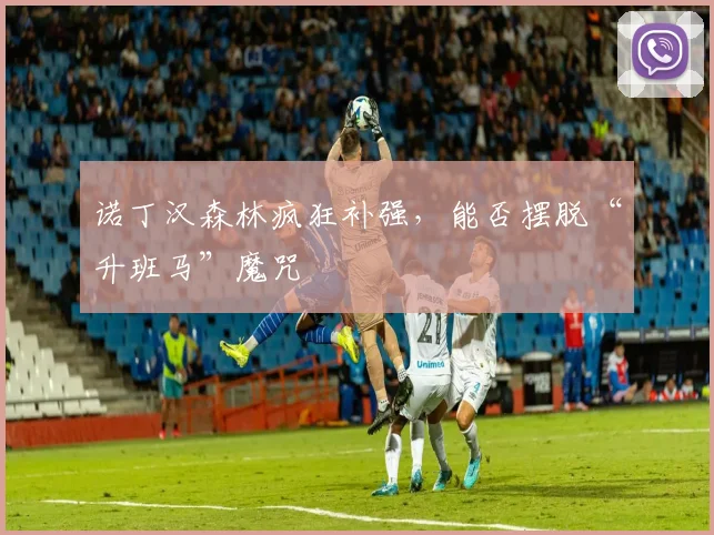 诺丁汉森林疯狂补强，能否摆脱“升班马”魔咒